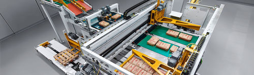 带堆垛机码垛机 - paletpac® - BEUMER Group GmbH & Co.KG - 用于颗粒 / 搬运 / 自动