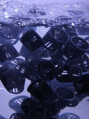 移动床生物膜反应器 - MBBR - SFC Umwelttechnik GmBH - 用于污水处理 / 用于工业 / 完全自动化