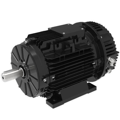 同步电机 - T100ECI - M&D (Motor and Drive) - 永磁 / IP55 / IP66