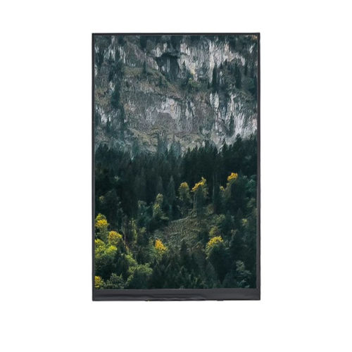 TFT LCD显示模块 - YX09020542416BB - Shenzhen Yousee Technology Co., Ltd. - 彩色 / 1024 x 600 / 9"
