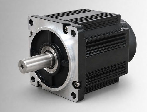无刷电机 - CW110BLBT-06020-L5-H - NEOTON MOTOR - 直流 / BLDC / 72 V