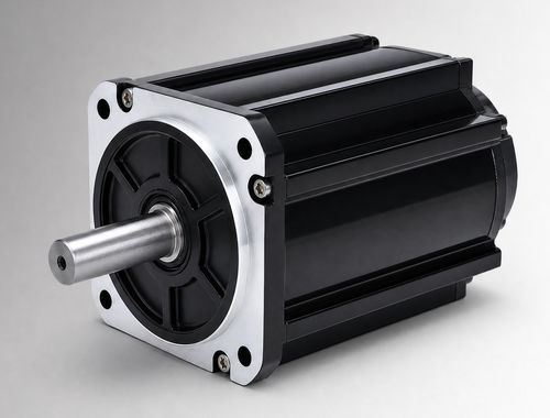 无刷电机 - CW130BLBT-19020-L5-H - NEOTON MOTOR - 直流 / BLDC / 72 V