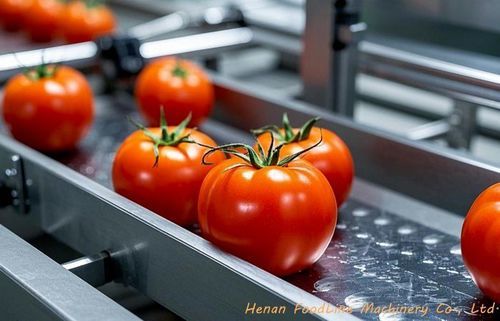食品工业分拣机 - Henan Hongtu Machinery Manufacturing Co., Ltd. - 农用 / 颜色 / 光学