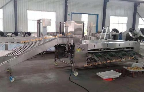 食品工业分拣机 - Henan Hongtu Machinery Manufacturing Co., Ltd. - 农用 / 工业 / 光学