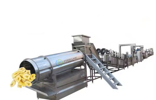 香蕉薯片生产线 - FL-B200 - Henan Hongtu Machinery Manufacturing Co., Ltd. - 自动