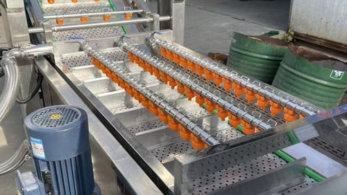 蔬菜清洗机 - Henan Hongtu Machinery Manufacturing Co., Ltd. - 水果 / 菠菜 / 草莓