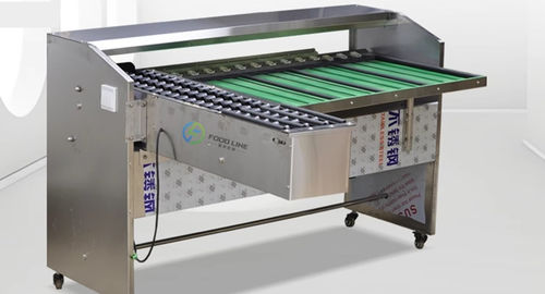 鸡蛋分级机 - FL-G series - Henan Hongtu Machinery Manufacturing Co., Ltd. - 光学 / 机械 / 滚筒