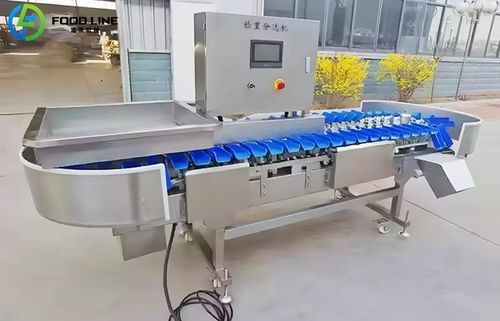 分拣分级机 - FX100 - Henan Hongtu Machinery Manufacturing Co., Ltd. - 果蔬 / 蔬菜 / 水果