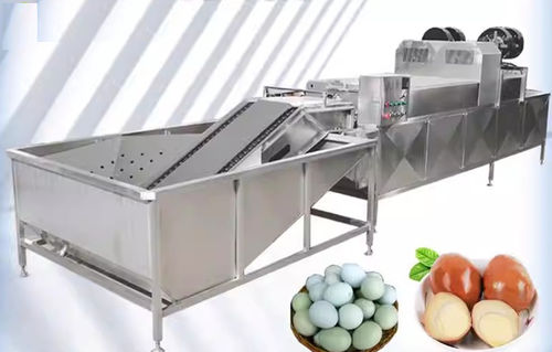 鸡蛋食品级清洗机 - Henan Hongtu Machinery Manufacturing Co., Ltd. - 自动 / 刷式 / 冲洗