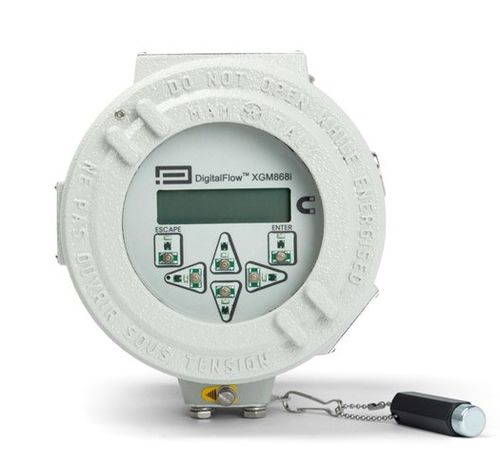 超声波流量计 - DigitalFlow™ XGM868i - Panametrics - 质量 / 沼气 / 碳氢化合物