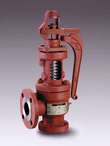 蒸汽安全阀 - 6400, 6600 - Farris Engineering