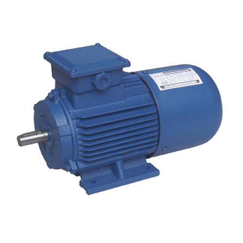 异步电机 - HANGZHOU CHINABASE MACHINERY CO., LTD. - 直流 / 100V / 鼠笼式