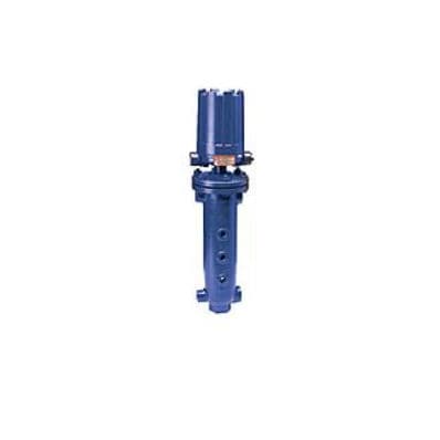 磁性浮子液位开关 - C24  - Magnetrol - AMETEK/美国Magnetrol - 浸入式 / 用于液体 / 不锈钢