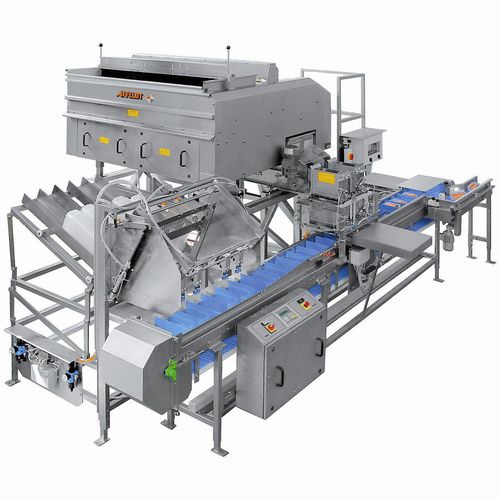 连续式称重设备 - AVN 112-CW 12EV-K - Affeldt Maschinenbau GmbH - 食品工业 / 带有震动给料机 / 不锈钢