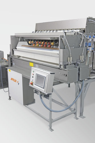 动态称重设备 -  AVN 114-CWxxEVA - Affeldt Maschinenbau GmbH - 食品工业