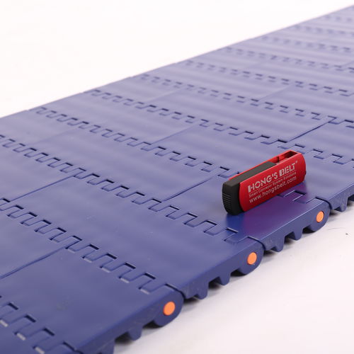 模块化输送带 - HS-100A/50.8MM - Huanan Xinhai (Shenzhen) Technology Co.,Ltd. - 塑料 / 食品工业 / 用于肉类