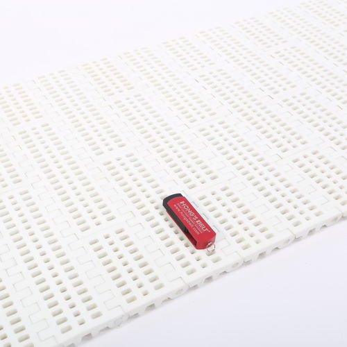 模块链输送带 - HS-100B/50.8MM - Huanan Xinhai (Shenzhen) Technology Co.,Ltd. - 塑料 / 工艺流程 / 蔬菜
