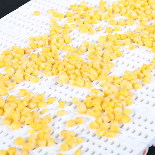 模块链输送带 - HS-100B /50.8mm picth - Huanan Xinhai (Shenzhen) Technology Co.,Ltd. - 聚甲醛POM / PP / PA