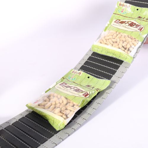模块链输送带 - HS-700EL/27.2MM Pitch - Huanan Xinhai (Shenzhen) Technology Co.,Ltd. - PP / 工业 / 高耐拉力