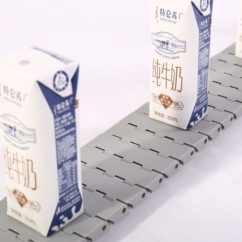 模块链输送带 - HS-502A-83GB /25mm picth - Huanan Xinhai (Shenzhen) Technology Co.,Ltd. - 聚甲醛POM / PP / PA