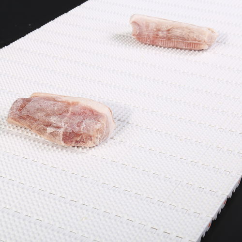 模块链输送带 - HS-100AN/50.8mm picth - Huanan Xinhai (Shenzhen) Technology Co.,Ltd. - 聚甲醛POM / 食品工业 / 重型
