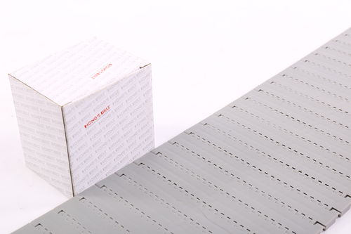 模块链输送带 - HS-700A/27.2MM - Huanan Xinhai (Shenzhen) Technology Co.,Ltd. - PP / 工业