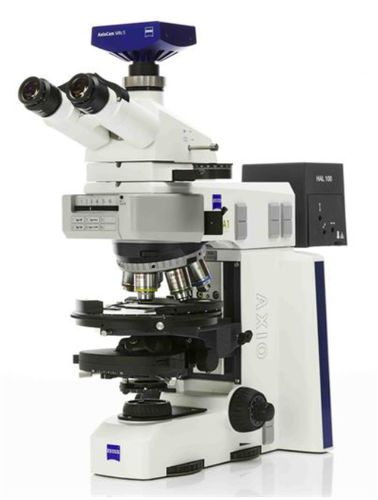 金相学显微镜 - AxioScope A1 MAT - Hitech Instruments - 用于研究 / 测量 / 模块化