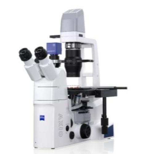 光学显微镜 - AxioVert A1 - Hitech Instruments - 用于研究 / 工业 / 医用