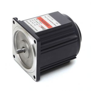 带速度控制器电机 - E8I25-LT series - DAEHWA E/M CO.,LTD - 感应 / 单相 / 220伏