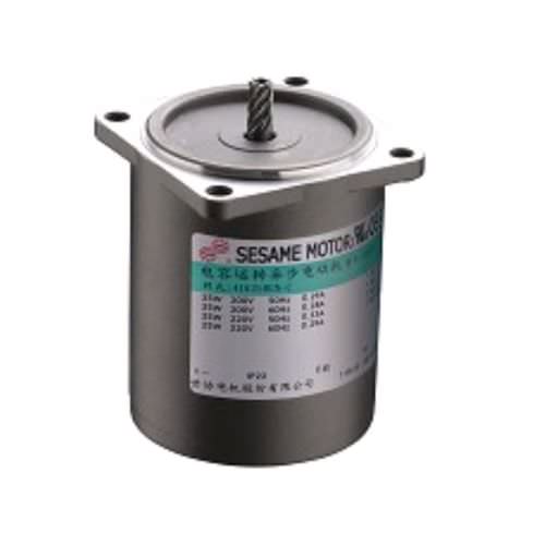 异步电机 - RK series - Sesame Motor Corp. - 交流 / 可逆