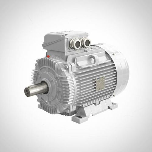 异步电机 - SWE series - Fuzhou Wonder Electric Co.,Ltd. - 3相 / 400V / 铸铁