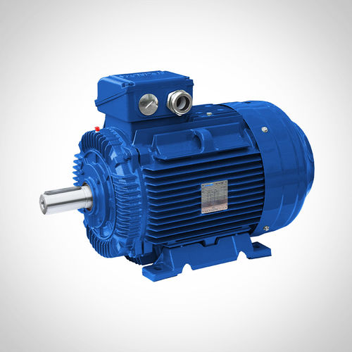 感应电机 - SSWE250M2 - Fuzhou Wonder Electric Co.,Ltd. - 交流 / IE4 / 用于机床