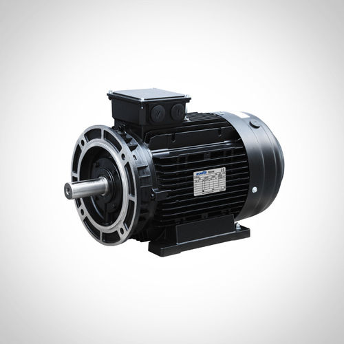 感应电机 - SSWEA132S1-2-5.5KW - Fuzhou Wonder Electric Co.,Ltd. - 交流 / IE4 / 液压应用