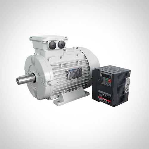 感应电机 - WST225-3000-75KW - Fuzhou Wonder Electric Co.,Ltd. - 三相 / 永磁 / IE4