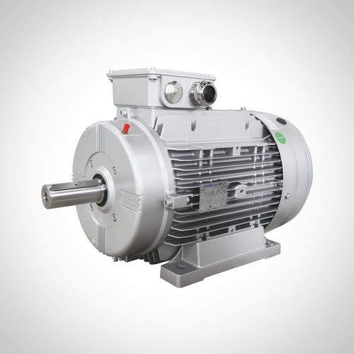 感应电机 - SEWA-132S-6-3KW - Fuzhou Wonder Electric Co.,Ltd. - 三相 / 铝框架 / IE3