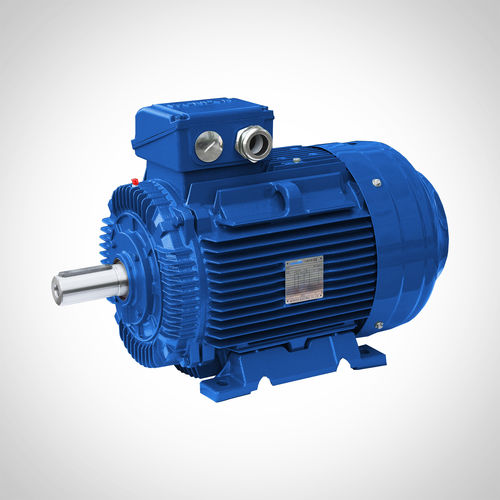 感应电机 - SWE-250M2-55KW - Fuzhou Wonder Electric Co.,Ltd. - 交流 / 耐用型 / IE3
