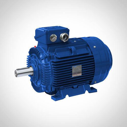 异步电机 - SWE315L2-2-200KW - Fuzhou Wonder Electric Co.,Ltd. - 交流 / 用于粉碎机 / 用于矿产工业
