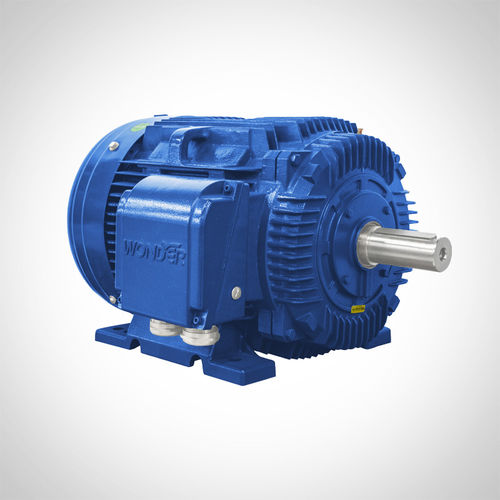 感应电机 - NT444T1-6-D-75HP - Fuzhou Wonder Electric Co.,Ltd. - 交流 / 铸铁 / TEFC