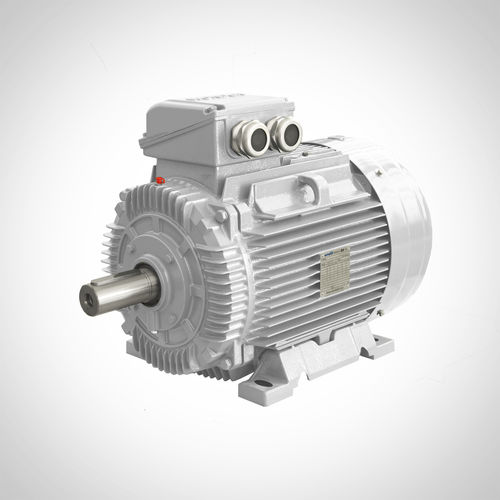 感应电机 - SWE-355M2-250KW - Fuzhou Wonder Electric Co.,Ltd. - 交流 / 耐用型 / 用于切割机
