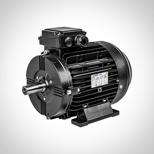 感应电机 - WST90-1500-4KW - Fuzhou Wonder Electric Co.,Ltd. - 交流 / 永磁 / IE4