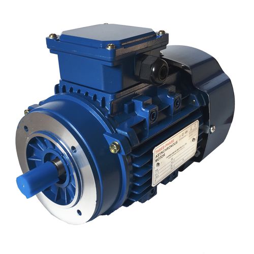 异步电机 - YDT Series - Ocean Industry - 三相 / 380V / IP44