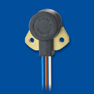 绝对角编码器 - PRAS21 - ASM Automation Sensorik Messtechnik GmbH - 磁性