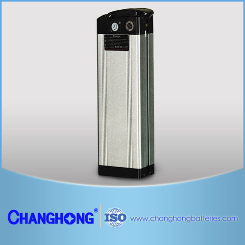 锂电池系统 - SICHUAN CHANGHONG BATTERY CO., LTD. - 12V / 工业