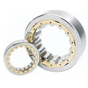 圆柱滚子轴承 - NF  - TIMKEN Europe/铁姆肯 - 径向 / 单列 / 钢