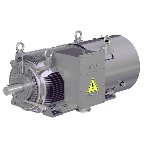 高压电动机 - HJK - CAG Electric Machinery s.r.o. - 异步 / 三相 / 铸铁框架