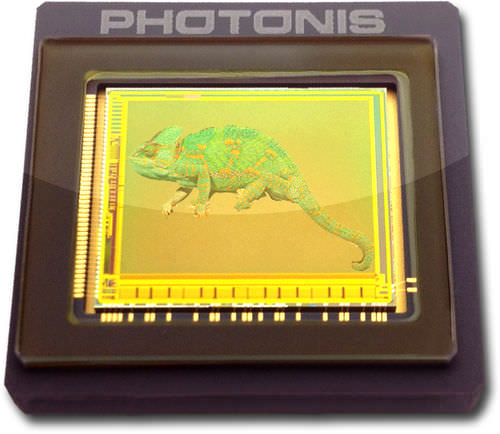 CMOS图像传感器 - KAMELEON - PHOTONIS - 彩色 / 单色 / 固态