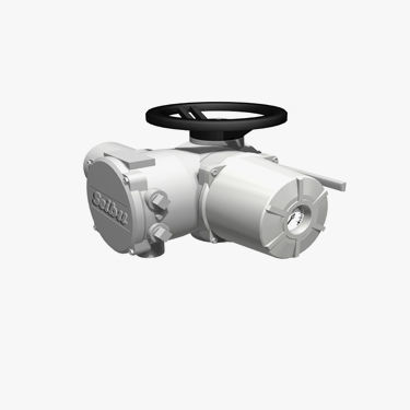 阀门电动执行器 - Semflex®-VMM - Seibu - 多程 / 蜗杆 / 双作用
