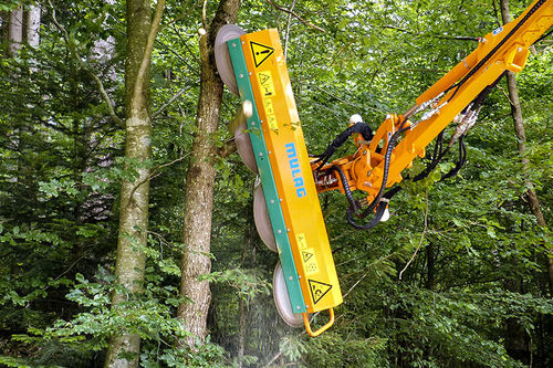 挖掘机剪枝机刀头 - FSG 2000 - MULAG Fahrzeugwerk Heinz Wössner GmbH u. Co. KG
