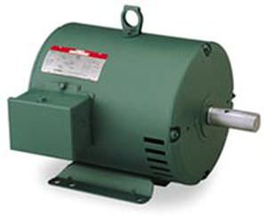 异步电机 - Wattsaver® - LEESON Electric - 交流 / 三相 / 3相