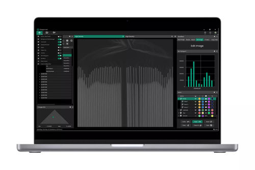 检查用软件 - InspectionWorks Analyze - Waygate Technologies - 分析 / 自动故障识别 / 用于 CND